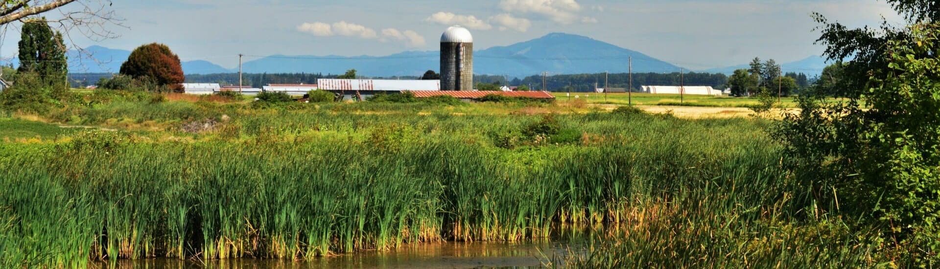 A peaceful rural landscape featuring fields, a silo, and distant mountains under a blue sky.